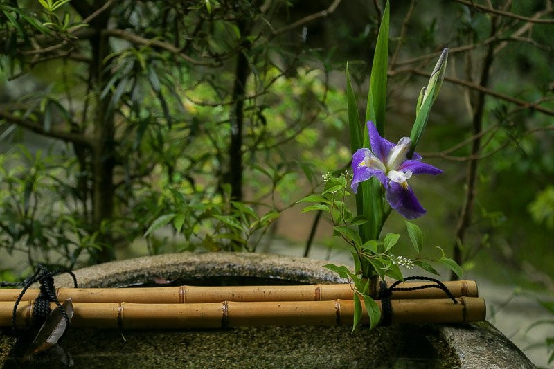 f:id:ropross:20160628151752j:plain