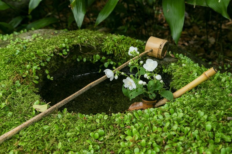 f:id:ropross:20160628151753j:plain