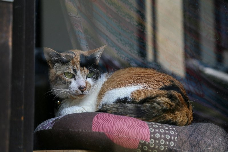 f:id:ropross:20160628151856j:plain