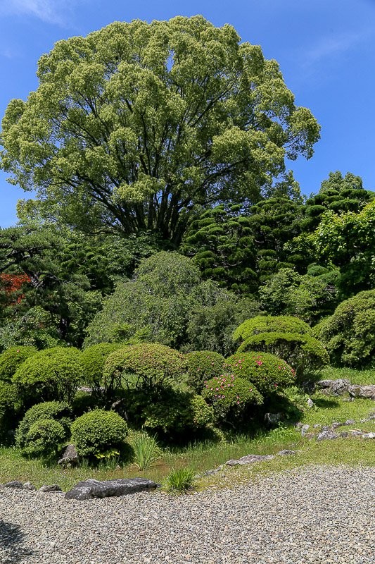 f:id:ropross:20160628151857j:plain