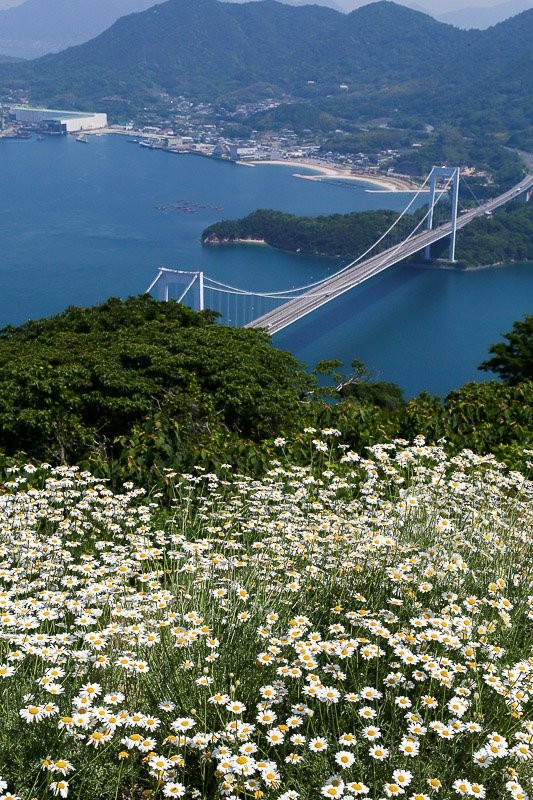 f:id:ropross:20160701221621j:plain