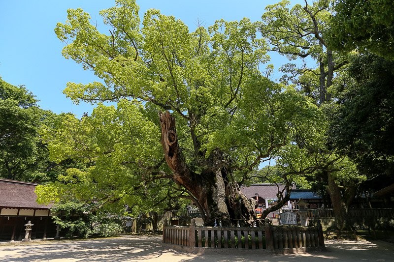 f:id:ropross:20160701221624j:plain