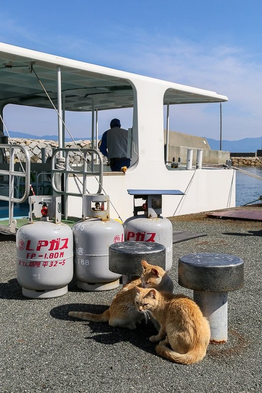 f:id:ropross:20160703175436j:plain