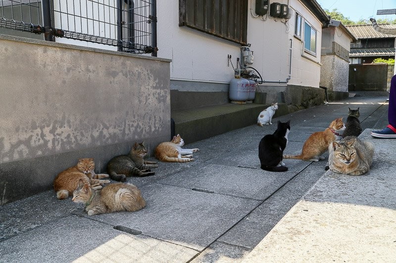 f:id:ropross:20160703175437j:plain