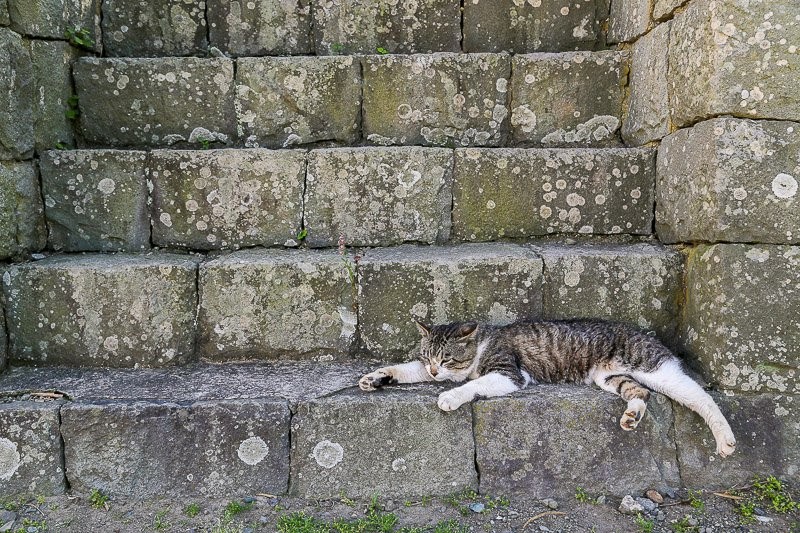 f:id:ropross:20160703175448j:plain