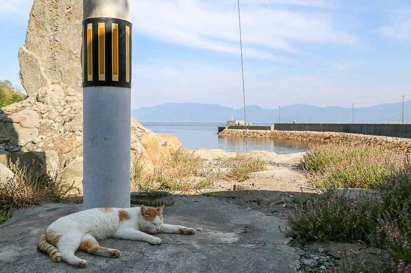 f:id:ropross:20160703175452j:plain