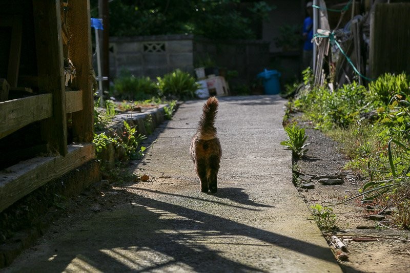 f:id:ropross:20160703175455j:plain