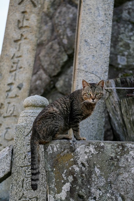 f:id:ropross:20160703175459j:plain