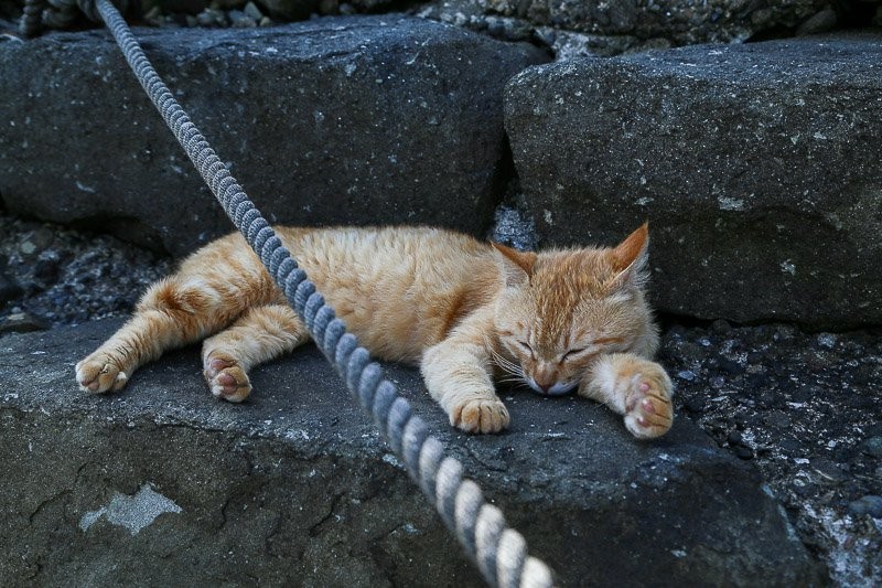 f:id:ropross:20160703175501j:plain