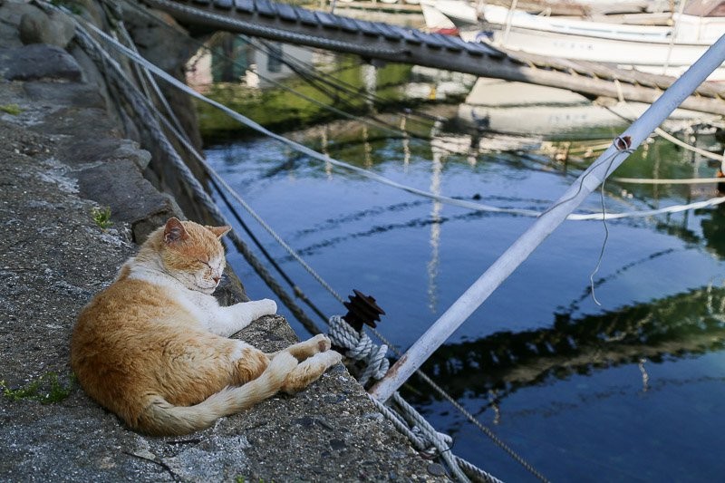 f:id:ropross:20160703175502j:plain