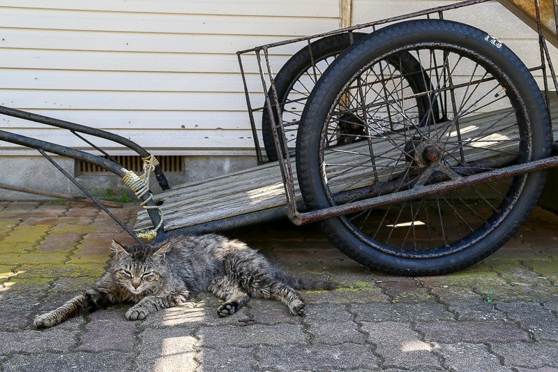 f:id:ropross:20160703175503j:plain