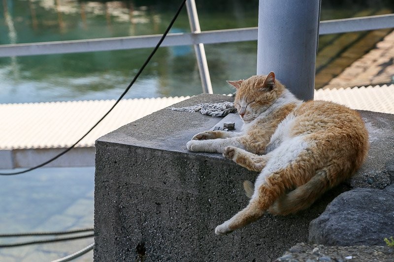 f:id:ropross:20160703175504j:plain