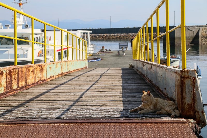 f:id:ropross:20160703175506j:plain