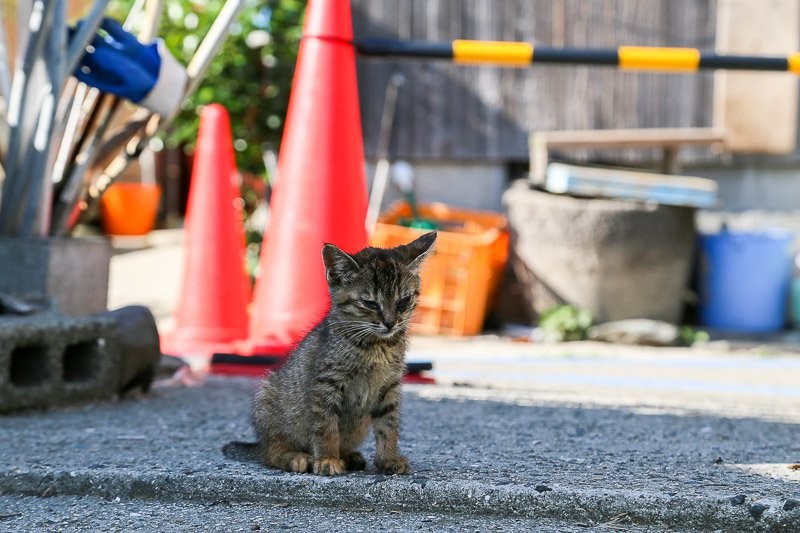 f:id:ropross:20160703175507j:plain