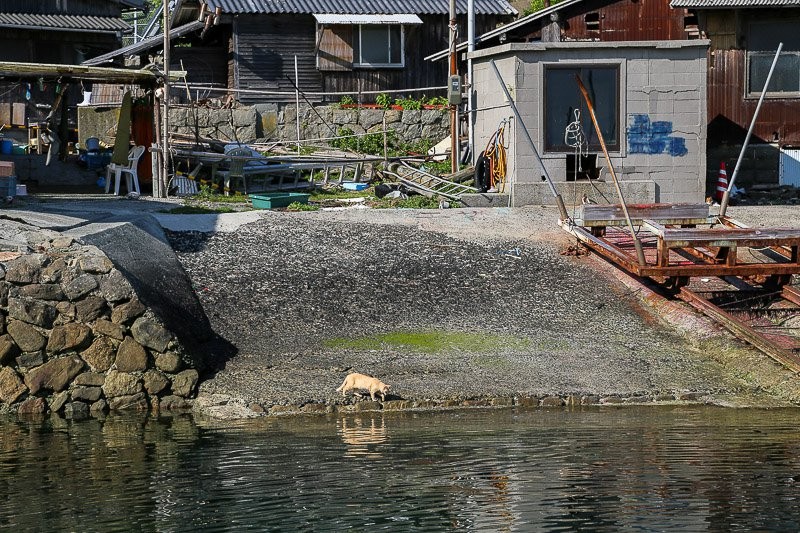 f:id:ropross:20160703175508j:plain