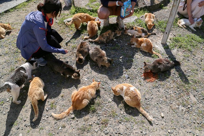 f:id:ropross:20160713141613j:plain