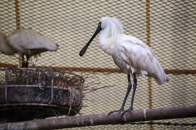 f:id:ropross:20160718124745j:plain