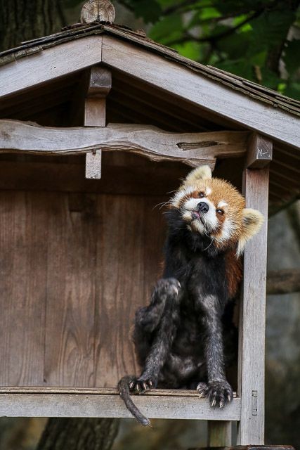 f:id:ropross:20160718124750j:plain