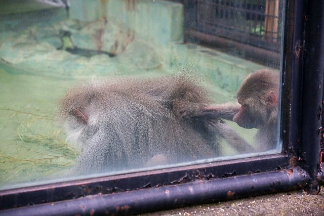 f:id:ropross:20160718124751j:plain