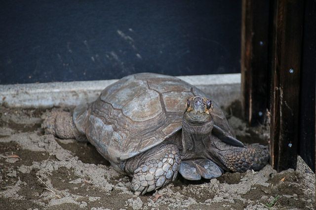 f:id:ropross:20160718124752j:plain