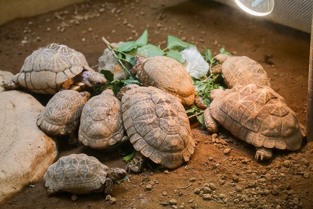 f:id:ropross:20160718124755j:plain