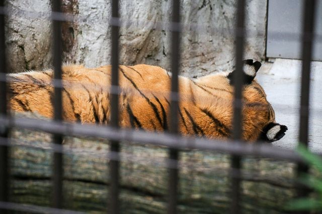 f:id:ropross:20160718124756j:plain