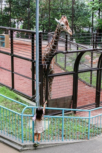 f:id:ropross:20160718124758j:plain