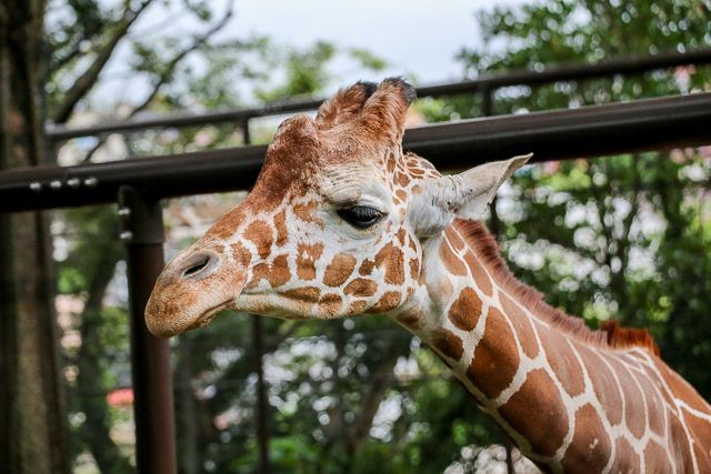 f:id:ropross:20160718124759j:plain