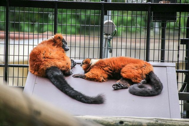 f:id:ropross:20160718124800j:plain