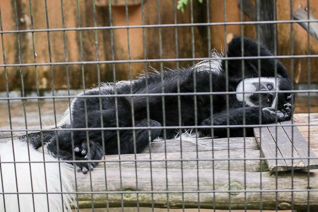 f:id:ropross:20160718124801j:plain