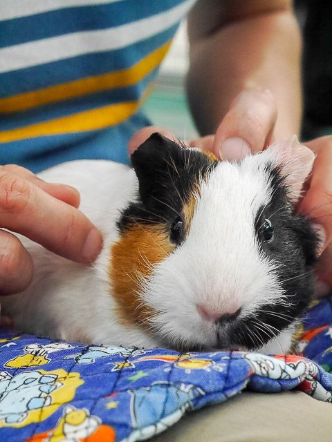 f:id:ropross:20160718124806j:plain