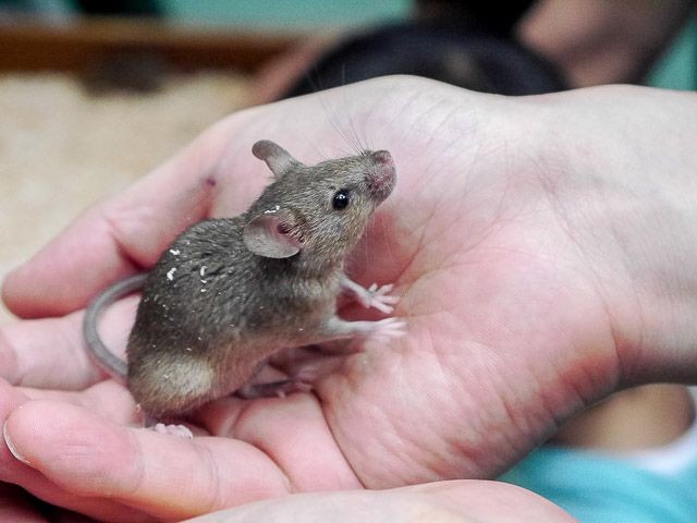 f:id:ropross:20160718124808j:plain