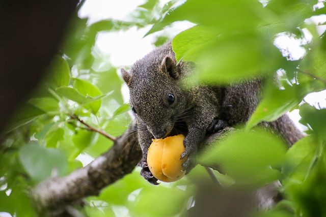 f:id:ropross:20160718124815j:plain