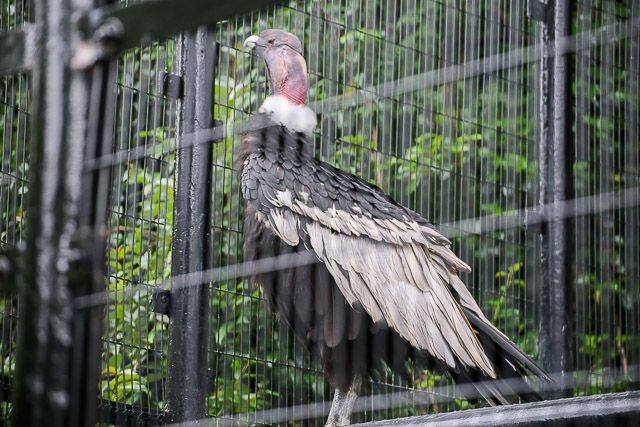 f:id:ropross:20160718124816j:plain