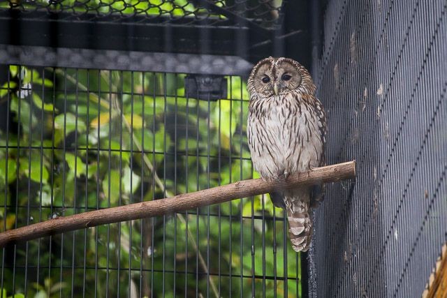 f:id:ropross:20160718124818j:plain