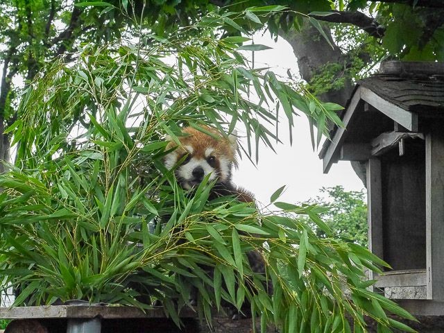 f:id:ropross:20160718124820j:plain