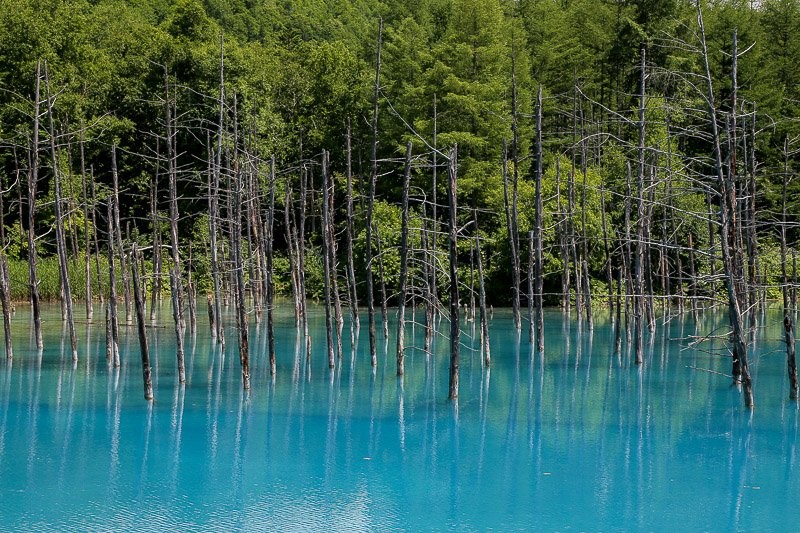 f:id:ropross:20160728143129j:plain f:id:ropross:20160728143129j:plain