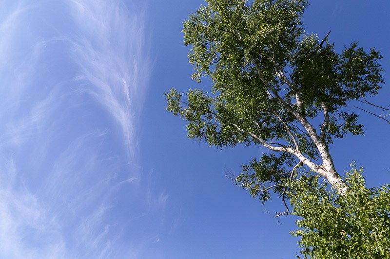 f:id:ropross:20160728143136j:plain f:id:ropross:20160728143136j:plain