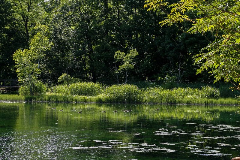 f:id:ropross:20160728143137j:plain f:id:ropross:20160728143137j:plain