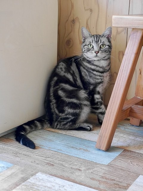 f:id:ropross:20160813132259j:plain f:id:ropross:20160813132259j:plain