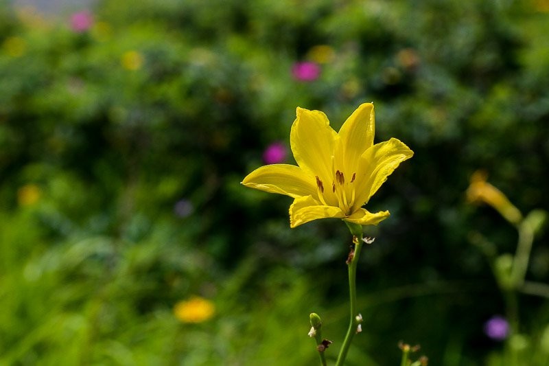 f:id:ropross:20160815134509j:plain