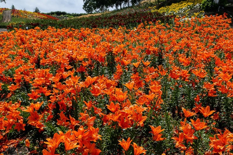 f:id:ropross:20160815134511j:plain