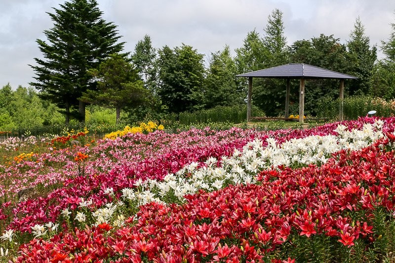 f:id:ropross:20160815134514j:plain