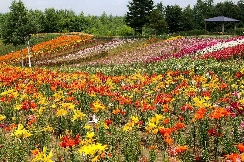 f:id:ropross:20160815134517j:plain