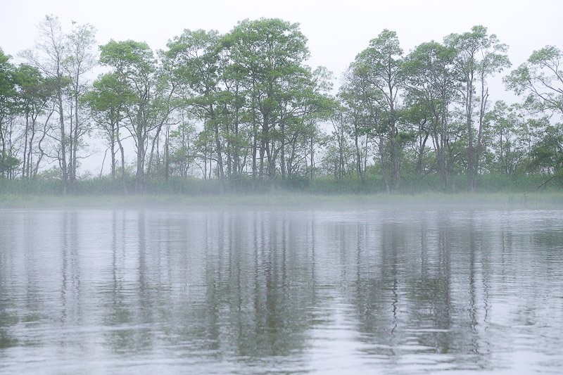 f:id:ropross:20160815134530j:plain