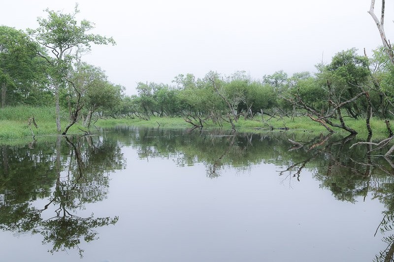 f:id:ropross:20160815134531j:plain