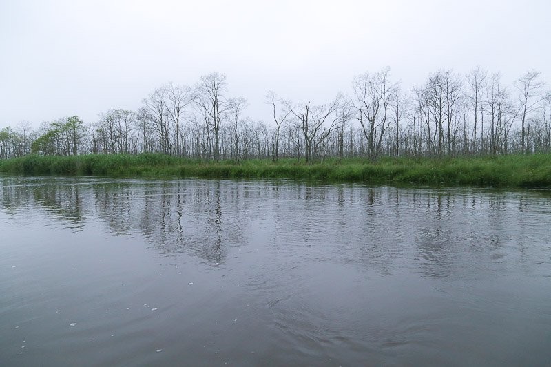 f:id:ropross:20160815134532j:plain