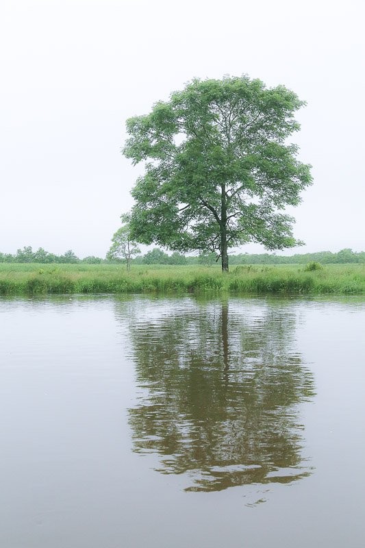 f:id:ropross:20160815134534j:plain