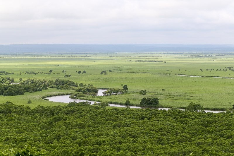 f:id:ropross:20160815134536j:plain