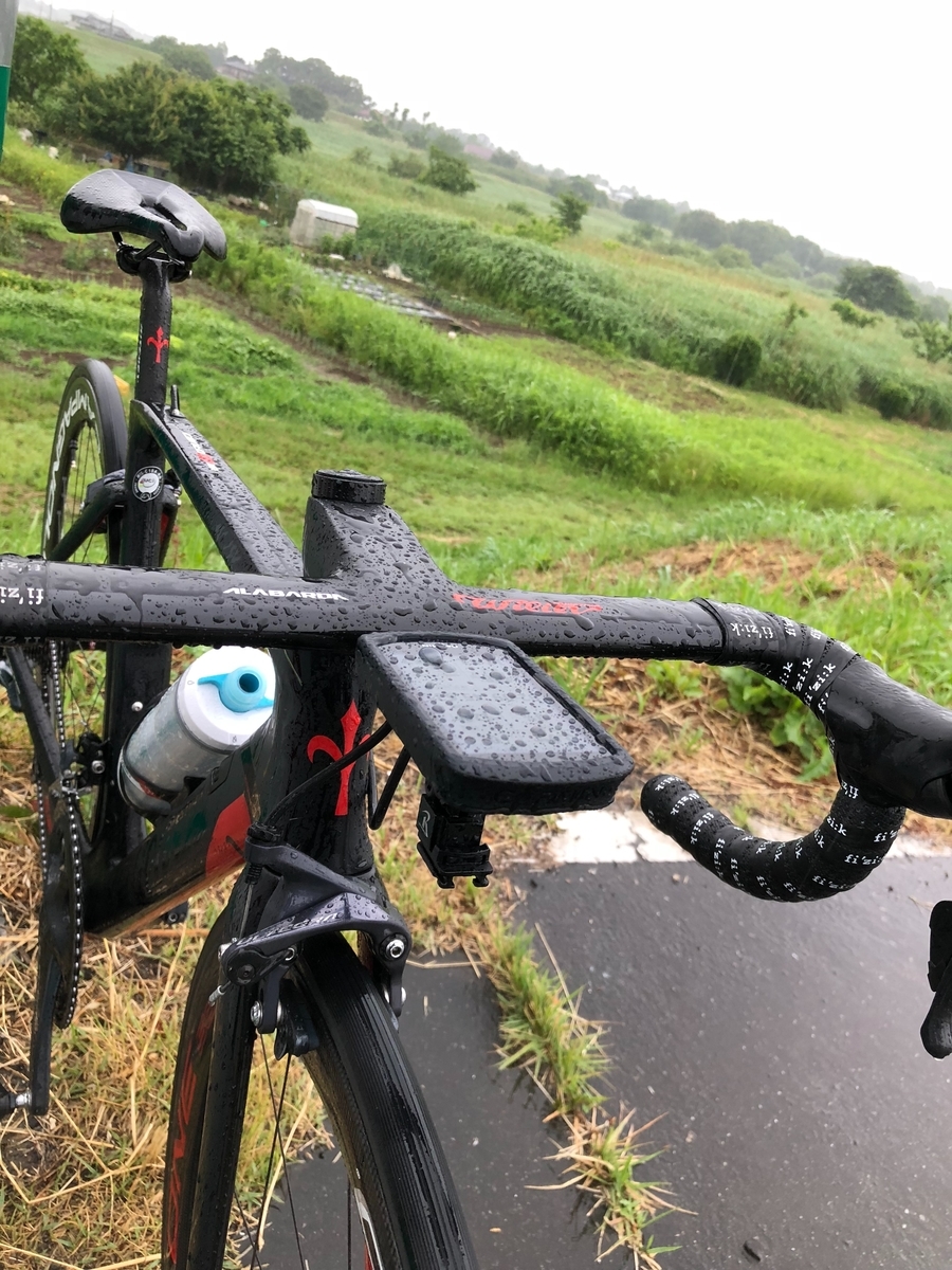 f:id:rorensu_2236:20190609224536j:plain